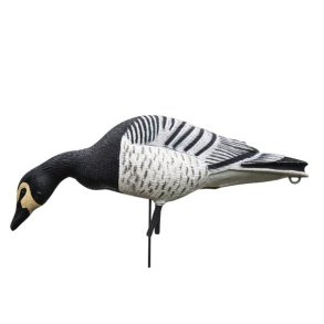 DKWAI Bramgs 6 stk Malet