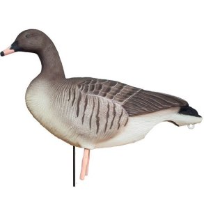 DKWAI Buster Decoy Kortnbbet Flock 6 stk.