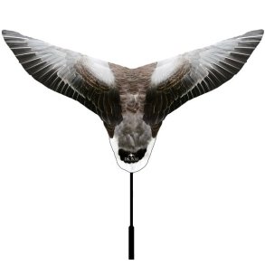 DKWAI Gseflag Til Grgs