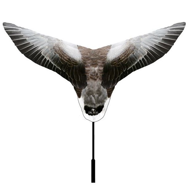 DKWAI Gseflag Til Grgs
