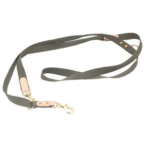 Dressurline Webbing 250cm Grn