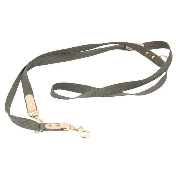 Dressurline Webbing 250cm Grn