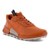 Ecco Biom 2.1 X Country W GTX Sko Brun