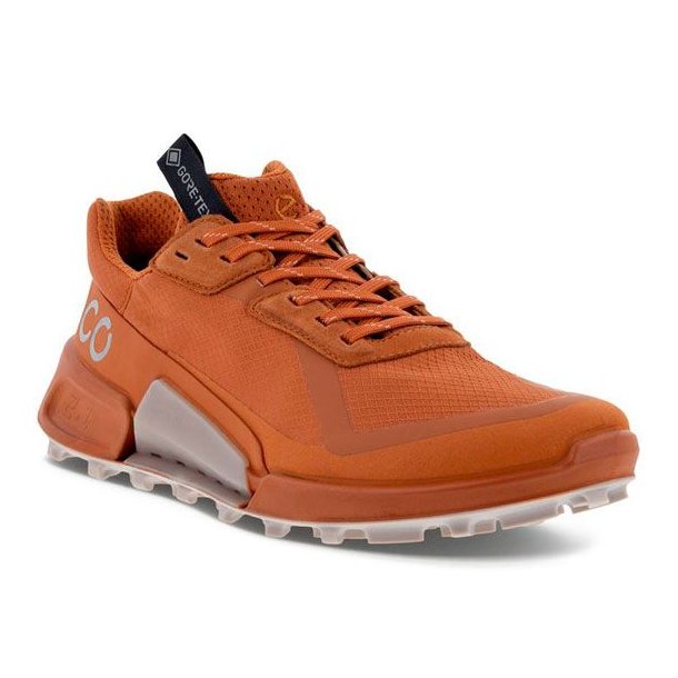 Ecco Biom 2.1 X Country W GTX Sko Brun