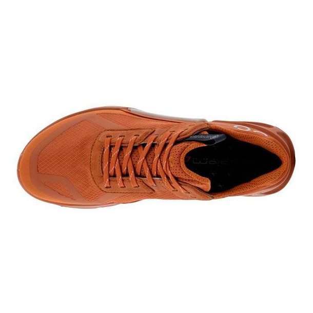 Ecco Biom 2.1 X Country W GTX Sko Brun