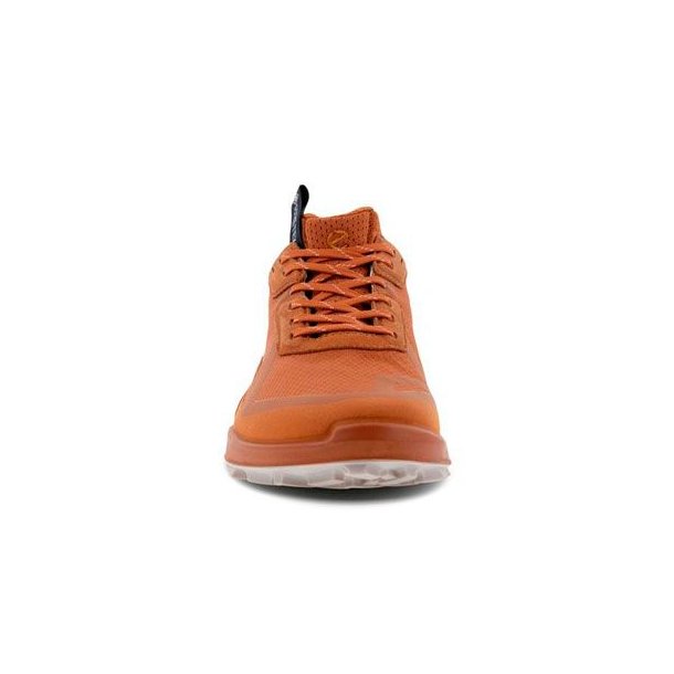 Ecco Biom 2.1 X Country W GTX Sko Brun