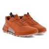 Ecco Biom 2.1 X Country W GTX Sko Brun