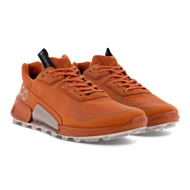 Ecco Biom 2.1 X Country W GTX Sko Brun