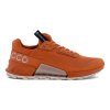 Ecco Biom 2.1 X Country W GTX Sko Brun