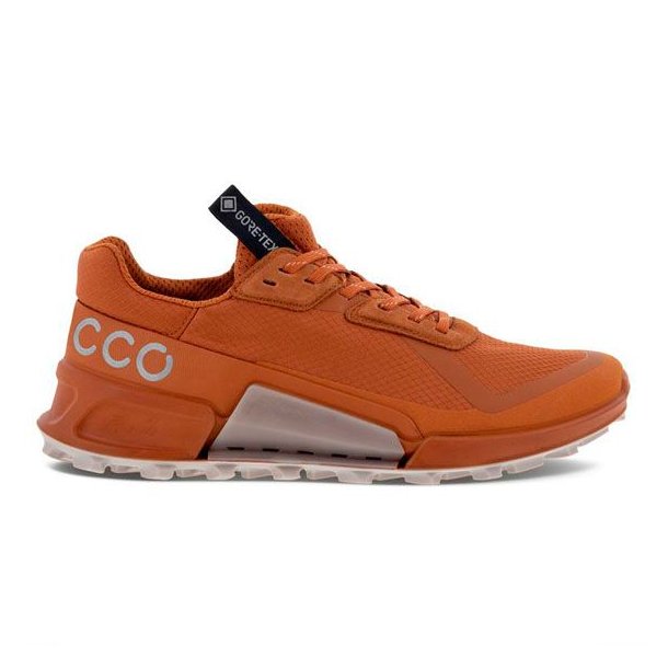 Ecco Biom 2.1 X Country W GTX Sko Brun
