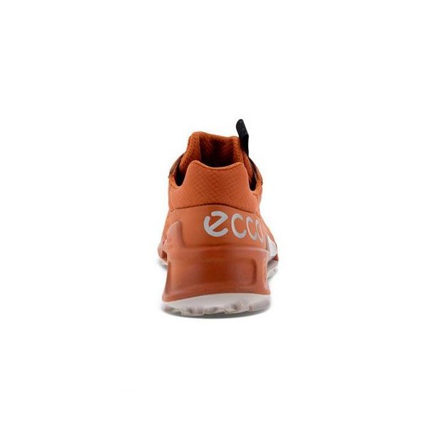 Ecco Biom 2.1 X Country W GTX Sko Brun