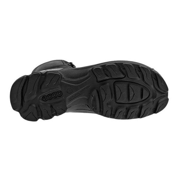 Ecco Proffessional Biom Xpedition GTX Black/Black