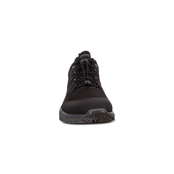 Ecco Terracruise II W GTX Sko Black