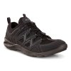 Ecco Terracruise LT W Sko Black/Black