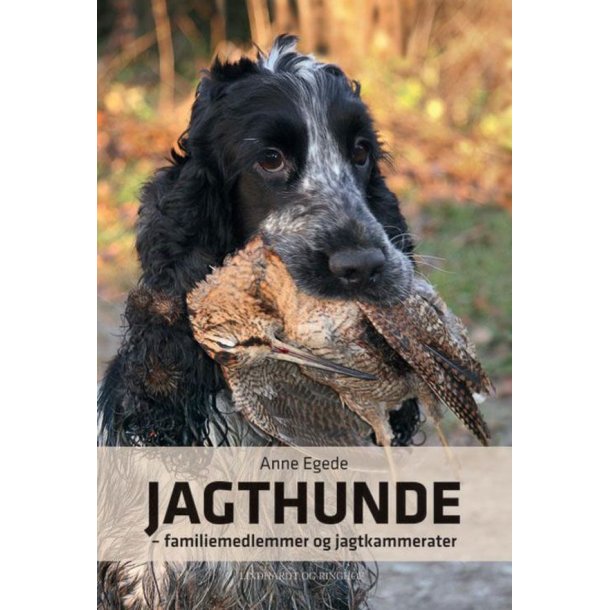 Jagthunde - Familiemedlemmer og Jagtkammerater af Anne Egede