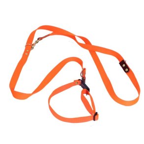 Jagtline Webbing Med Halsrem Og Quickudlser 25mm x 250cm Orange