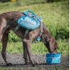 Kurgo Zippy Rejseskl Bl 1,4 Liter - Med Lynls