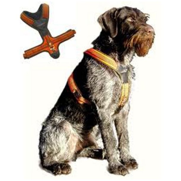 Niggeloh Follow Schweiss hundesele Orange