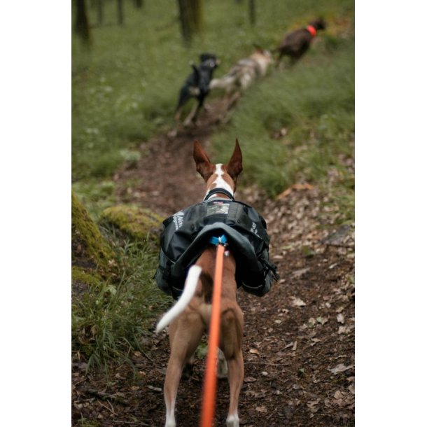 Non-Stop Dogwear Amundsen Pack Black/grey