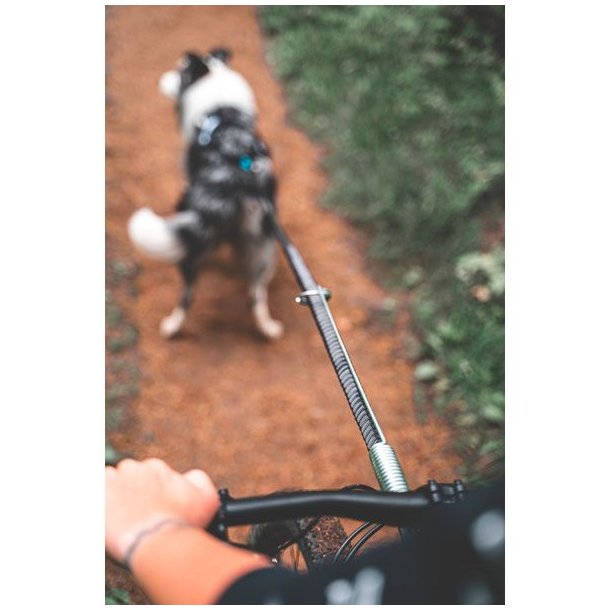 Non-Stop Dogwear Bike Antenne