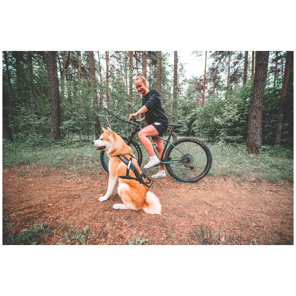 Non-Stop Dogwear Bike Antenne