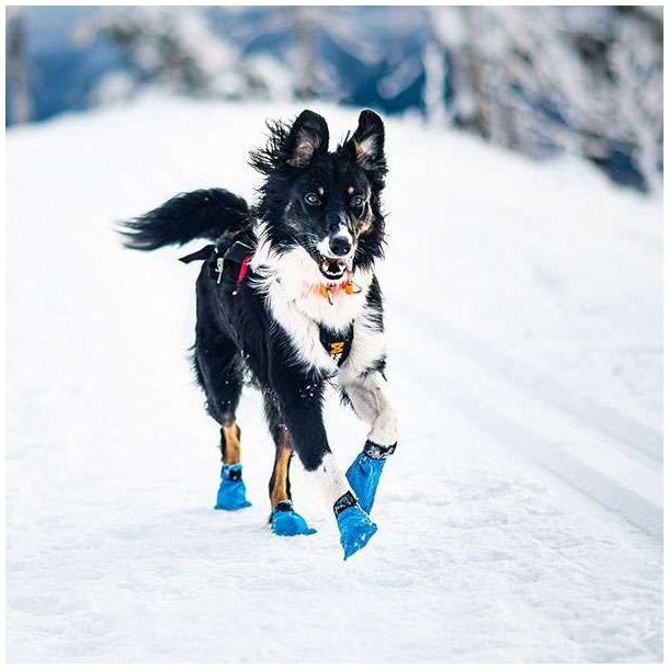 Non-Stop Dogwear Long Distance Bootie Hundesko Blue