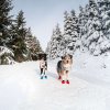 Non-Stop Dogwear Long Distance Bootie Hundesko Blue