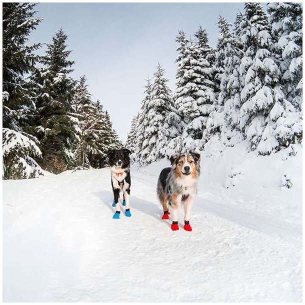 Non-Stop Dogwear Long Distance Bootie Hundesko Blue