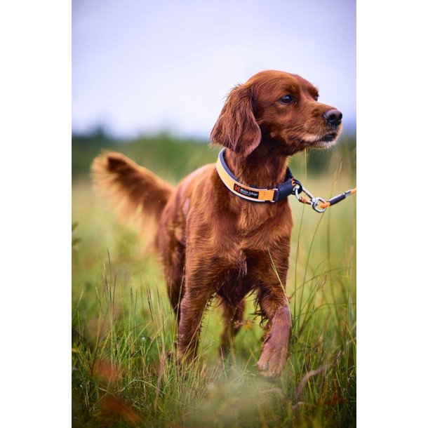 Non-Stop Dogwear Protector Collar Orange