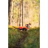 Non-stop dogwear Protector Cover 2.0 Black/Orange