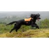 Non-stop dogwear Protector Neoprene Vest