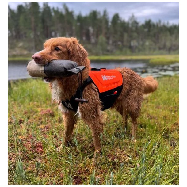 Non-stop dogwear Protector Neoprene Vest