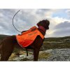 Non-Stop Dogwear Protector Vest Til GPS