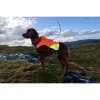 Non-Stop Dogwear Protector Vest Til GPS