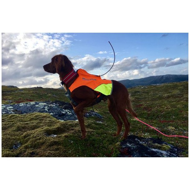 Non-Stop Dogwear Protector Vest Til GPS