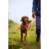Non-Stop Dogwear Retriver Leash 1.6m/8mm Orange