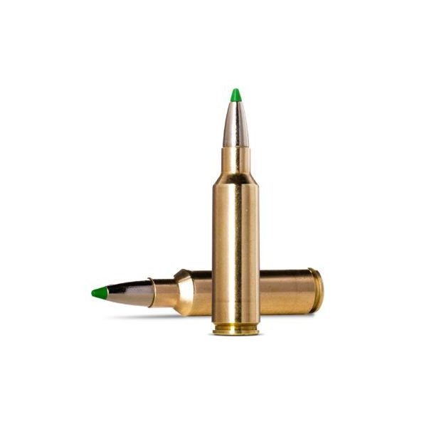 Norma 300WSM 9.7g/150gr Ecostrike 20 stk.