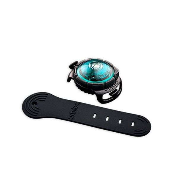 Orbiloc Dog Dual Turquoise