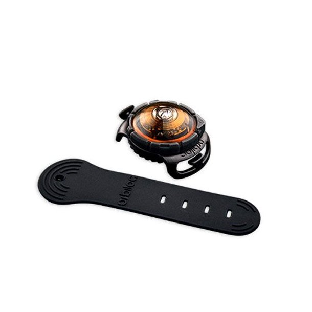 Orbiloc Dog Dual Amber