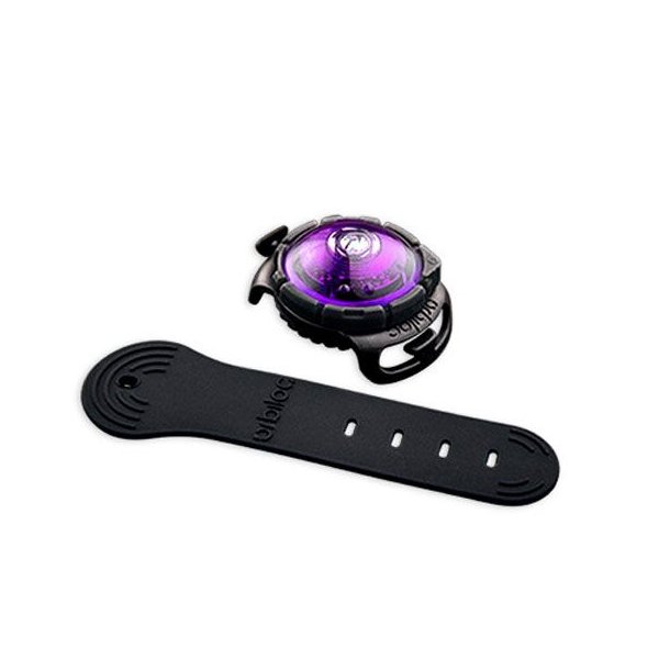Orbiloc Dog Dual Lilla