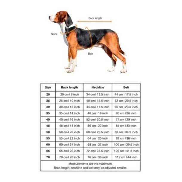 Paikka Hunde Trredragt 2Go Navy