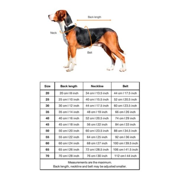 Paikka Hunde Trredragt 2Go Olive