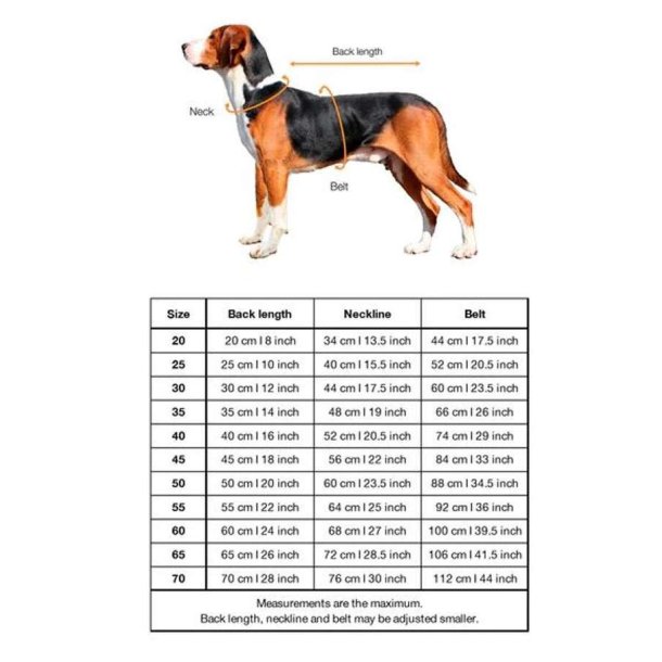 Paikka Hunde Trredragt Spa Taupe