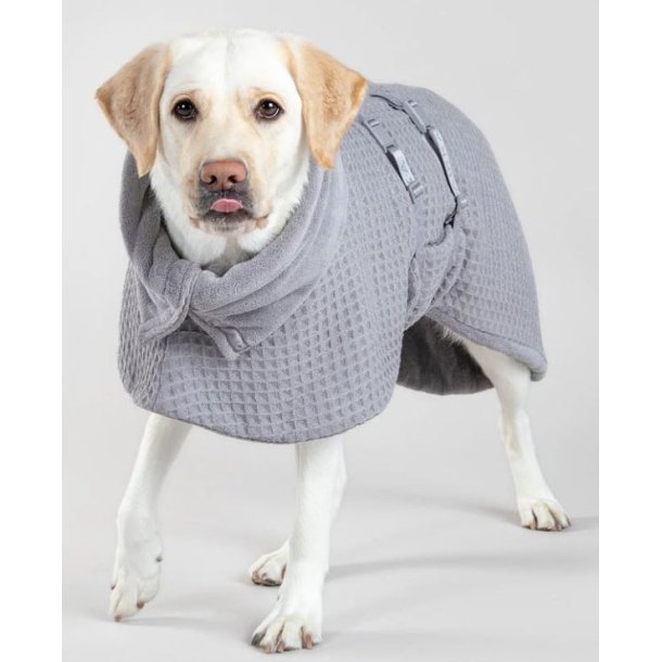 Paikka Hunde Trredragt Spa Grey