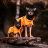 Paikka Recovery Regnfrakke Til Hund Orange