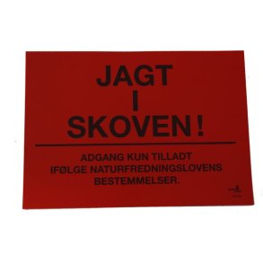 Rdt jagt i skoven
