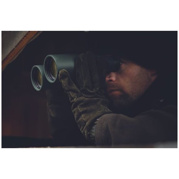 Swarovski SLC 8x56 H�ndkikkert Green