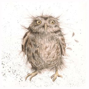 Wrendale Telegram Med Kuvert Ugle