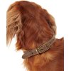 Barbour Leather Dog Collar Brown