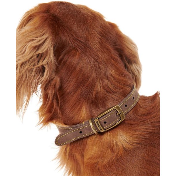 Barbour Leather Dog Collar Brown